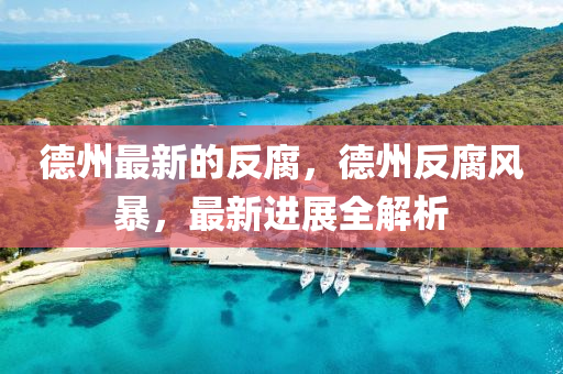 德州最新的反腐，德州反腐風暴，最新進展全解析液壓動力機械,元件制造