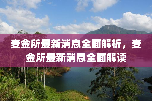 麥金所最新消息全面解析，麥金所最新消息全面解讀液壓動力機械,元件制造