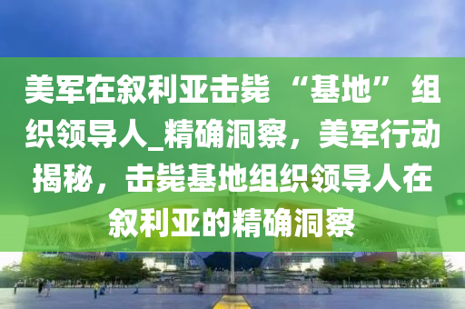 美軍在敘利亞擊斃 “基地” 組織領(lǐng)導(dǎo)人_精確洞察，美軍行動揭秘，擊斃基地組織領(lǐng)導(dǎo)人在敘利亞的精確洞察液壓動力機(jī)械,元件制造