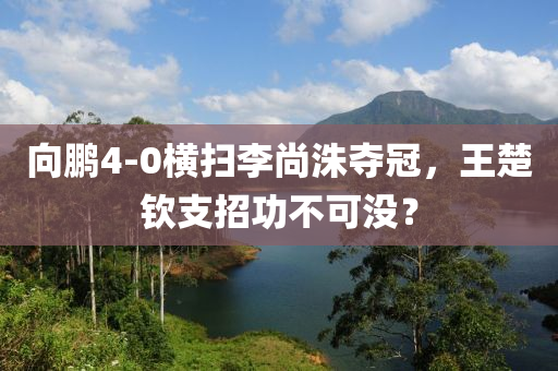 向鵬4-0橫掃液壓動力機械,元件制造李尚洙奪冠，王楚欽支招功不可沒？