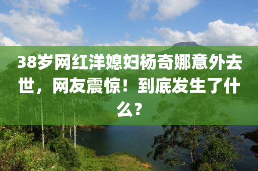 38歲網(wǎng)紅洋媳婦楊奇娜意外去世，網(wǎng)友震驚！到底發(fā)生了什么？液壓動力機械,元件制造