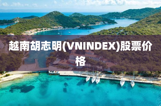 越南胡志明(VNINDEX)股票價(jià)格液壓動(dòng)力機(jī)械,元件制造