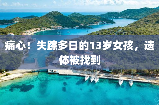 痛心！失蹤多日的13歲女孩，遺體被找到液壓動(dòng)力機(jī)械,元件制造