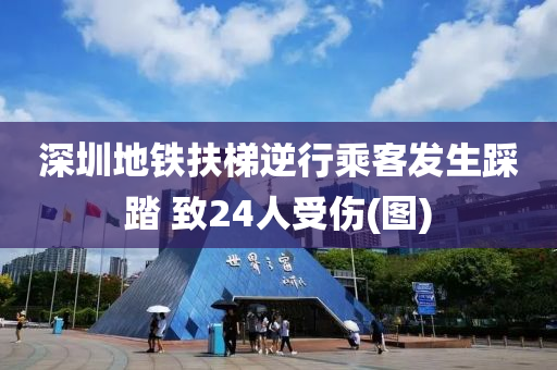 深圳地鐵扶梯液壓動力機(jī)械,元件制造逆行乘客發(fā)生踩踏 致24人受傷(圖)