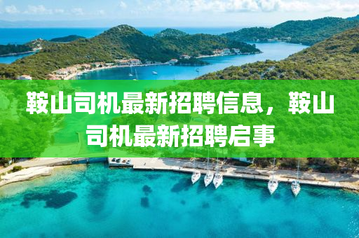 鞍山司機(jī)最新招聘信息，鞍山司機(jī)最新招聘啟事液壓動(dòng)力機(jī)械,元件制造