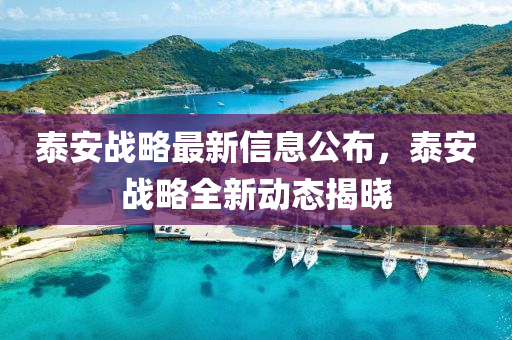 泰安戰(zhàn)略液壓動力機械,元件制造最新信息公布，泰安戰(zhàn)略全新動態(tài)揭曉