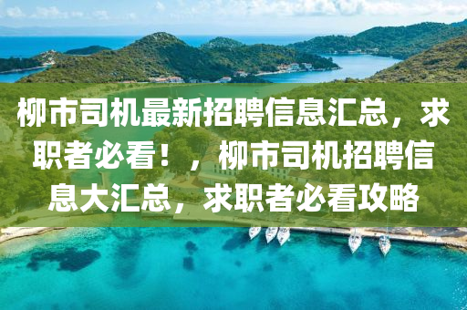 柳市司機最新招聘信息匯總，求職者必看！，柳市司機招聘信息大匯總，求職者必看攻略液壓動力機械,元件制造
