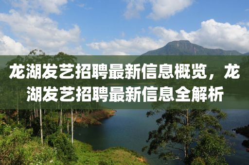 龍湖發(fā)藝招聘最新信息概覽，龍湖發(fā)藝招聘最新信息全解析液壓動(dòng)力機(jī)械,元件制造