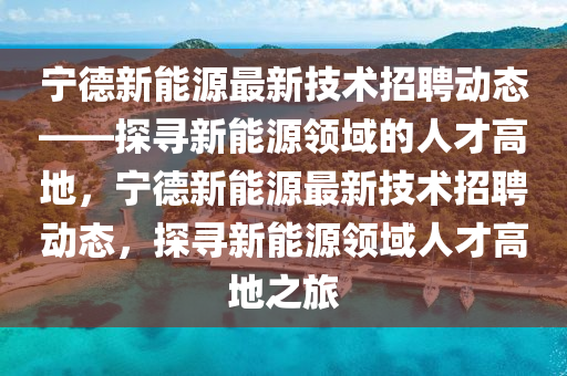 寧德新能源最新技術招聘動態(tài)——探尋新能源領域的人才高地，寧德新能源最新技術招聘動態(tài)，探尋新能源領域人才高地之旅