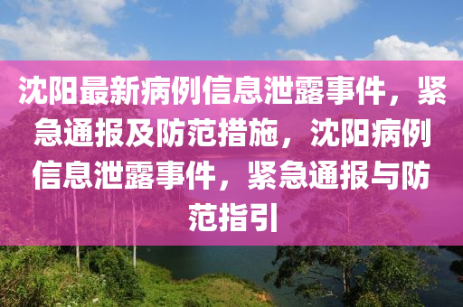 沈陽最新病例信息泄露事件，緊急通報及防范措施，沈陽病例信息泄露事件，緊急通報與防范指引