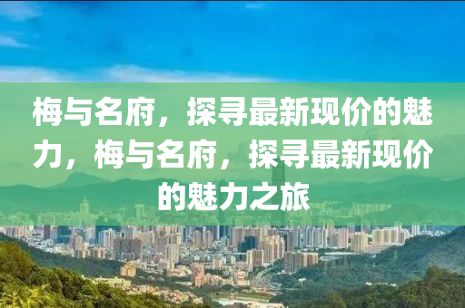 梅與名府，探尋最新現(xiàn)價(jià)的魅力，梅與名府，探尋最新現(xiàn)價(jià)的魅力之旅液壓動(dòng)力機(jī)械,元件制造