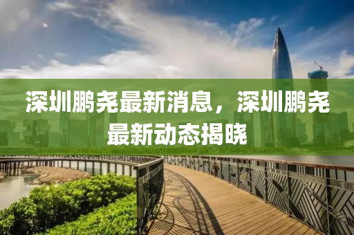 深圳鵬堯最新消息，深圳鵬堯最新動(dòng)態(tài)揭曉