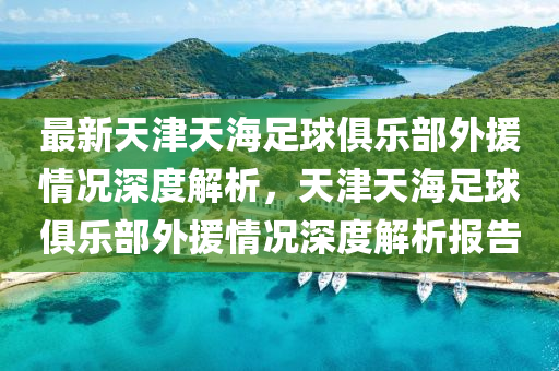最新天津天海足球俱樂部外援情況深度解析，天津天海足球俱樂部外援情況深度解析報告