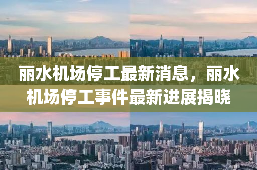 麗水機(jī)場停工最新消息，麗水機(jī)場停工事件最新進(jìn)展揭曉