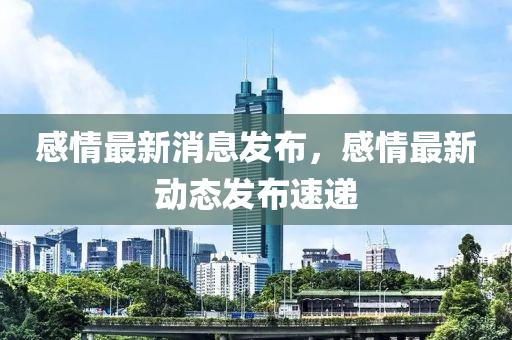 感情最新消息發(fā)布，感情最新動態(tài)發(fā)布速遞