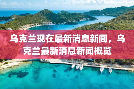 烏克蘭現(xiàn)在最新消息新聞，烏克蘭最新消息新聞概覽