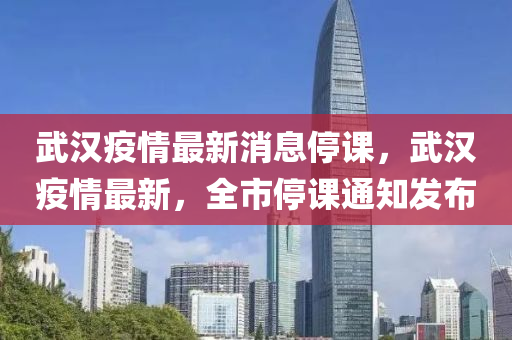 武漢疫情最新消息停課，武漢疫情最新，全市停課通知發(fā)布