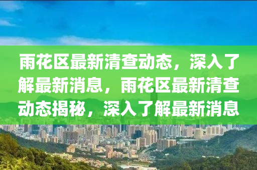雨花區(qū)最新清查動態(tài)，深入了解最新消息，雨花區(qū)最新清查動態(tài)揭秘，深入了解最新消息