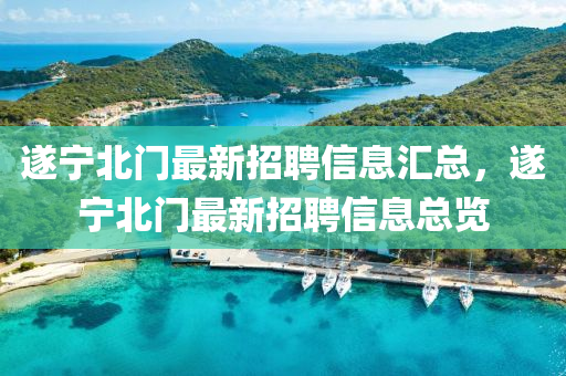 遂寧北門最新招聘信息匯總，遂寧北門最新招聘信息總覽液壓動力機械,元件制造
