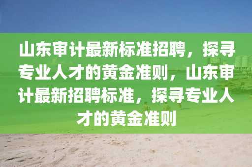 山東審計最新標(biāo)準(zhǔn)招聘，探尋專業(yè)人才的黃金準(zhǔn)則，山東審計最新招聘標(biāo)準(zhǔn)，探尋專業(yè)人才的黃金準(zhǔn)則