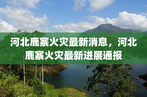 河北鹿寨火災(zāi)最新消息，河北鹿寨火災(zāi)最新進(jìn)展通報