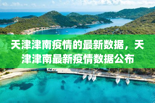 天津津南疫情的最新數(shù)據(jù)，天津津南最新疫情數(shù)據(jù)公布