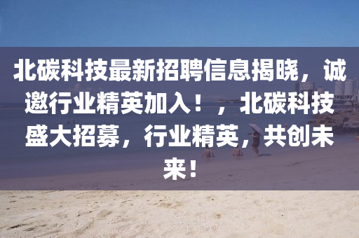 北碳科技最新招聘信息揭曉，誠邀行業(yè)精英加入！，北碳科技盛大招募，行業(yè)精英，共創(chuàng)未來！