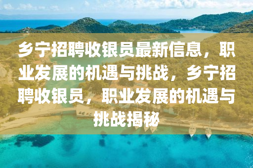 鄉(xiāng)寧招聘收銀員最新信息，職業(yè)發(fā)展的機(jī)遇與挑戰(zhàn)，鄉(xiāng)寧招聘收銀員，職業(yè)發(fā)展的機(jī)遇與挑戰(zhàn)揭秘