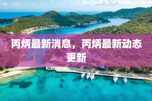 丙炳最新消息，丙炳最新動(dòng)態(tài)更新