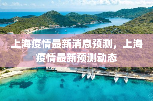 上海疫情最新消息預(yù)測，上海疫情最新預(yù)測動態(tài)