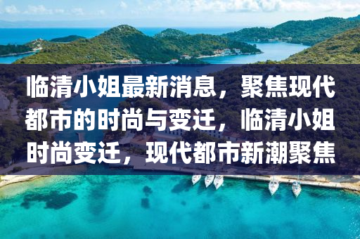 臨清小姐最新消息，聚焦現(xiàn)代都市的時(shí)尚與變遷，臨清小姐時(shí)尚變遷，現(xiàn)代都市新潮聚焦液壓動(dòng)力機(jī)械,元件制造