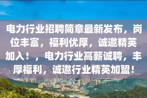 電力行業(yè)招聘簡章最新發(fā)布，崗位豐富，福利優(yōu)厚，誠邀精英加入！，電力行業(yè)高薪誠聘，豐厚福利，誠邀行業(yè)精英加盟！