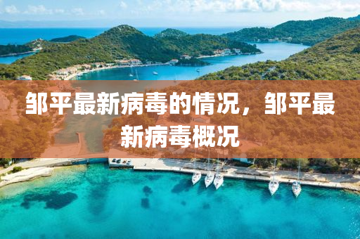 鄒平最新病毒的情況，鄒平最新病毒概況