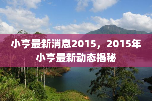小亨最新消息2015，2015年小亨最新動態(tài)揭秘