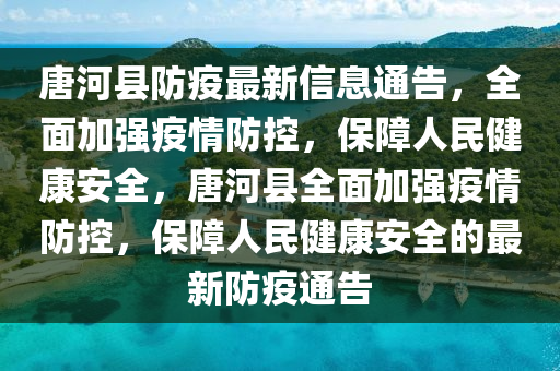 唐河縣防疫最新信息通告，全面加強疫情防控，保障人民健康安全，唐河縣全面加強疫情防控，保障人民健康安全的最新防疫通告