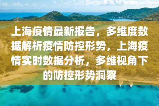 上海疫情最新報告，多維度數(shù)據(jù)解析疫情防控形勢，上海疫情實時數(shù)據(jù)分析，多維視角下的防控形勢洞察