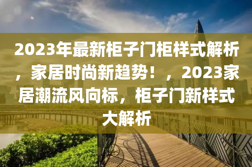 2023年最新柜子門柜樣式解析，家居時尚新趨勢！，2023家居潮流風向標，柜子門新樣式大解析