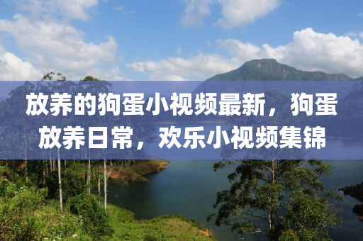 放養(yǎng)的狗蛋小視頻最新，狗蛋放養(yǎng)日常，歡樂小視頻集錦液壓動力機械,元件制造