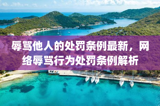 辱罵他人的處罰條例最新，網(wǎng)絡(luò)辱罵行為處罰條例解析液壓動(dòng)力機(jī)械,元件制造