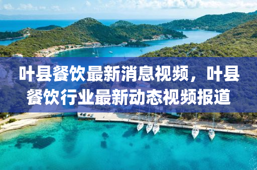 葉縣餐飲最新消息視頻，葉縣餐飲行業(yè)最新動(dòng)態(tài)視頻報(bào)道液壓動(dòng)力機(jī)械,元件制造
