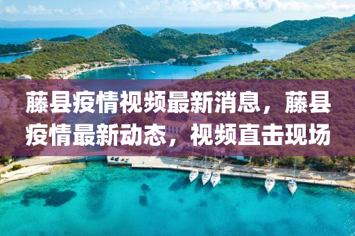 藤縣疫情視頻最新消息，藤縣疫情最新動(dòng)態(tài)，視頻直擊現(xiàn)場(chǎng)液壓動(dòng)力機(jī)械,元件制造