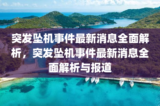 突發(fā)墜機(jī)事件最新消息全面解析，突發(fā)墜機(jī)事件最新消息全面解析與報(bào)道液壓動(dòng)力機(jī)械,元件制造