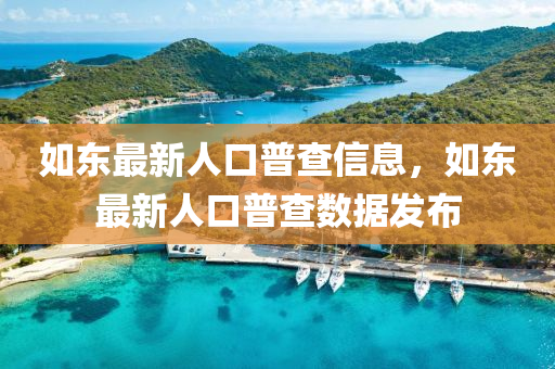 如東最新人口普查信息，如東最新人口普查數(shù)據(jù)發(fā)布