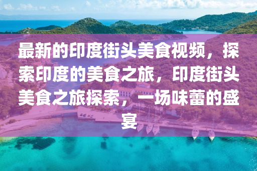 最新的印度街頭美食視頻，探索印度的美食之旅，印度街頭美食之旅探索，一場味蕾的盛宴