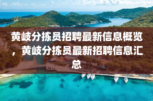 黃岐分揀員招聘最新信息概覽，黃岐分揀員最新招聘信息匯總