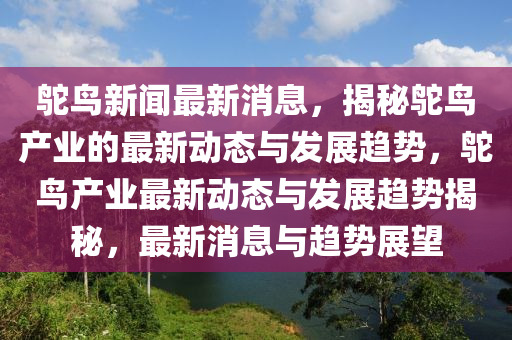 鴕鳥新聞最新消息，揭秘鴕鳥產(chǎn)業(yè)的最新動(dòng)態(tài)與發(fā)展趨勢(shì)，鴕鳥產(chǎn)業(yè)最新動(dòng)態(tài)與發(fā)展趨勢(shì)揭秘，最新消息與趨勢(shì)展望