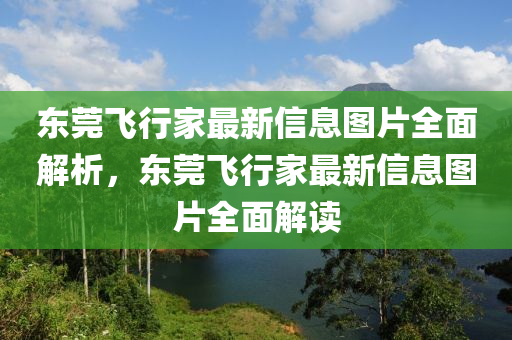 東莞飛行家最新信息圖片全面解析，東莞飛行家最新信息圖片全面解讀