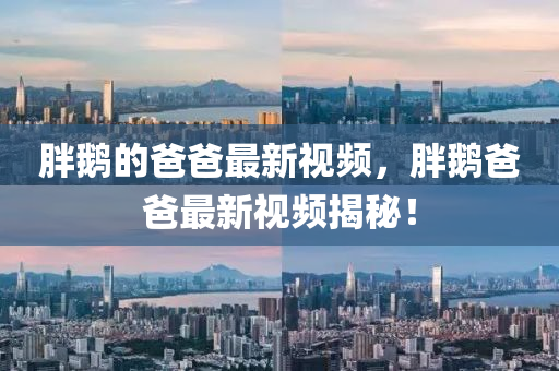 胖鵝的爸爸最新視頻，胖鵝爸爸最新視頻揭秘！
