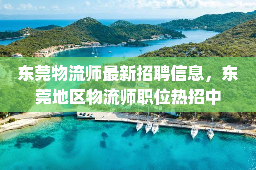 東莞物流師最新招聘信息，東莞地區(qū)物流師職位熱招中