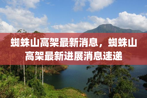 蜘蛛山高架最新消息，蜘蛛山高架最新進展消息速遞